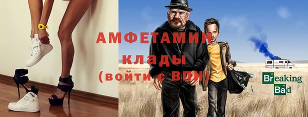 шишки Краснослободск