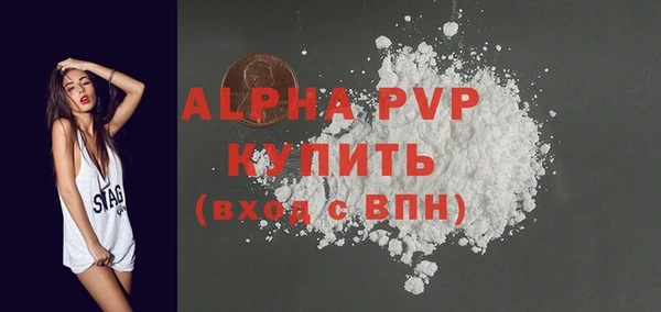 шишки Краснослободск