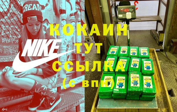 шишки Краснослободск
