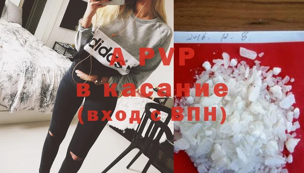 шишки Краснослободск