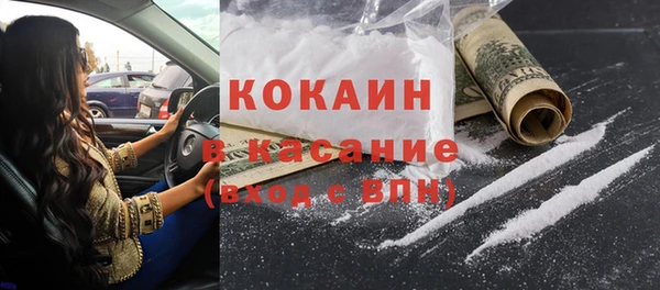 шишки Краснослободск