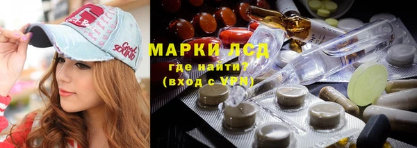 шишки Краснослободск