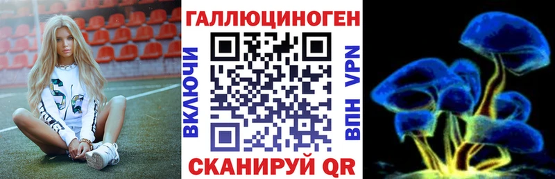 Купить  Багратионовск  Псилоцибиновые грибы прущие грибы 
